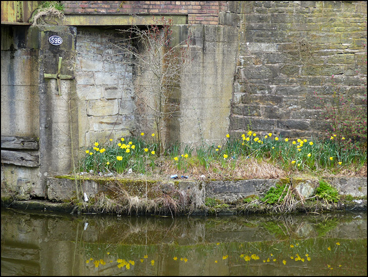 Lovely Flowers, Ugly Litter