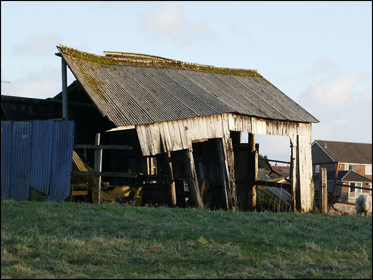 Old Shed