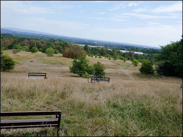 Benches