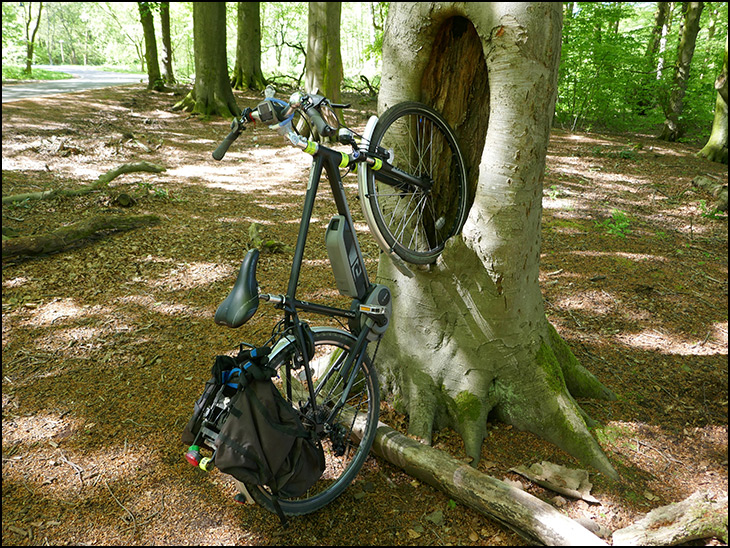 Bike Stand