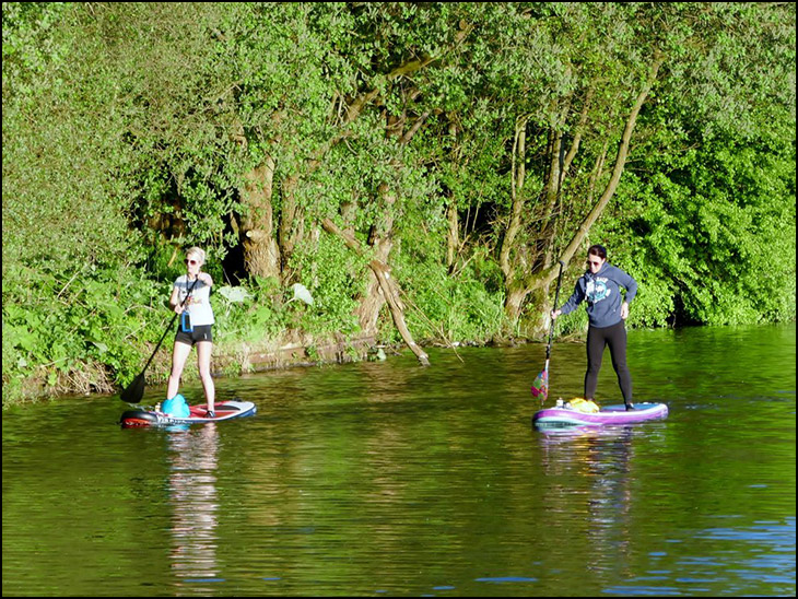 Paddle Boarders