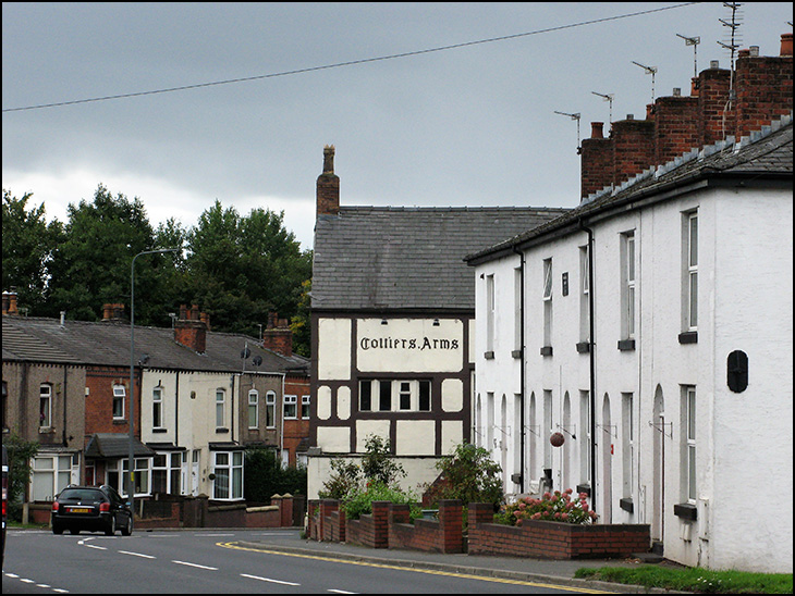 Bottom of Ivy brow