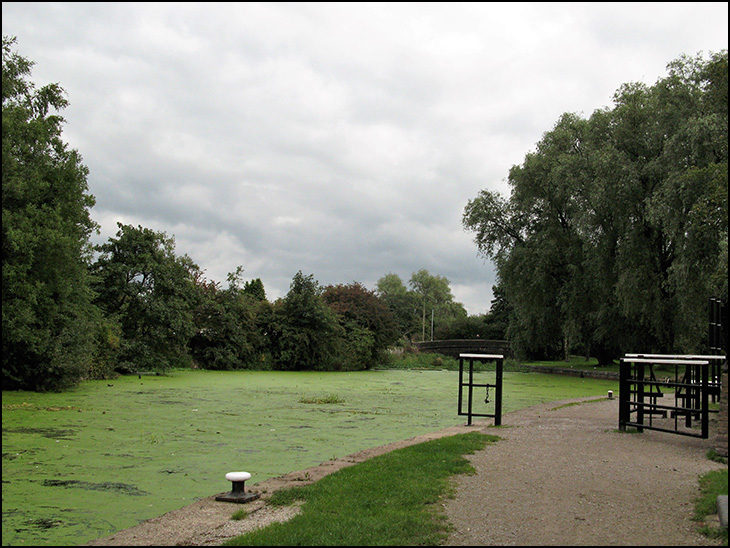 A drop of pea soup