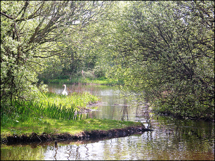 Side pound near Poolstock