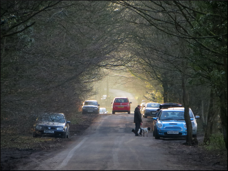 Hall Lane