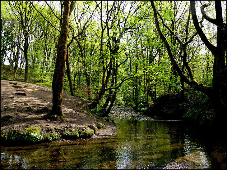 Borsdane Brook