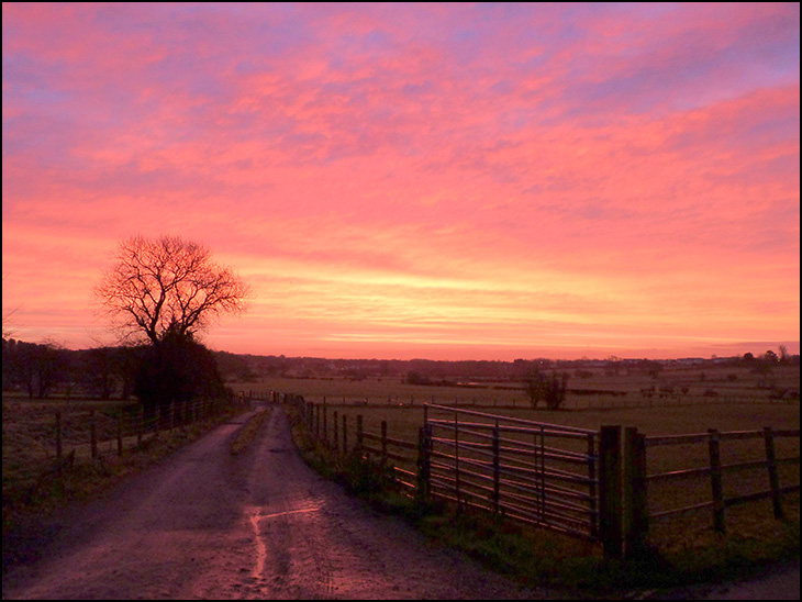 A cold and frosty morning