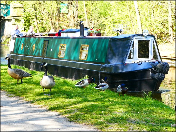 Canal Barge