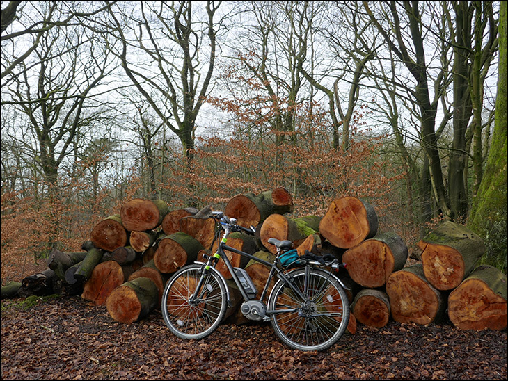 Log Pile