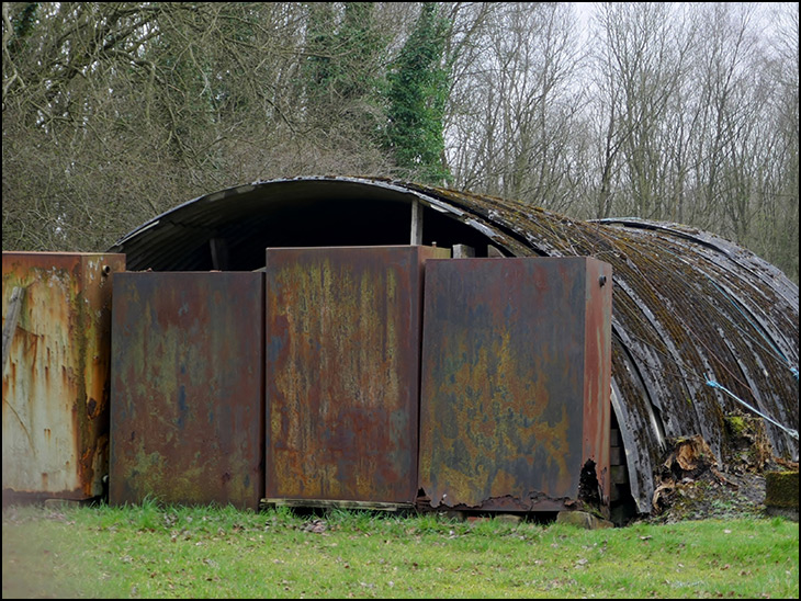 The Old Shed