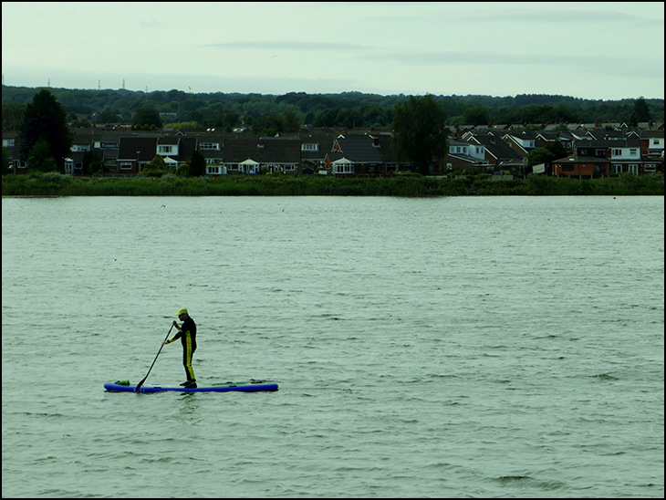 Paddle Boarder