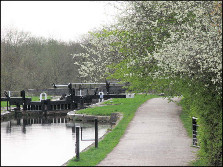 Blossom at lock 70