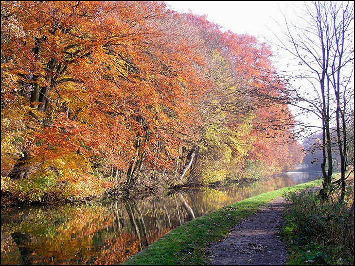 Towpath