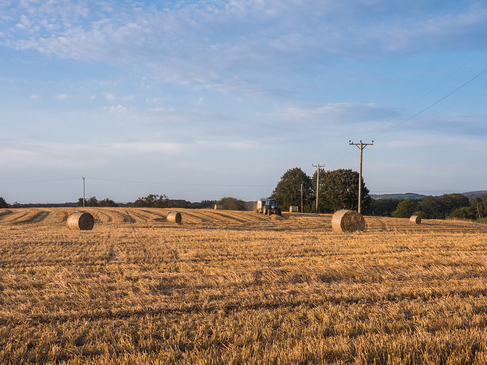 Making hay