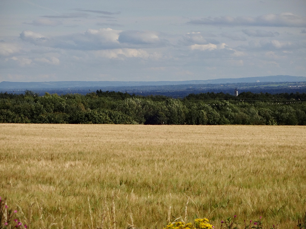 Jodrell Bank