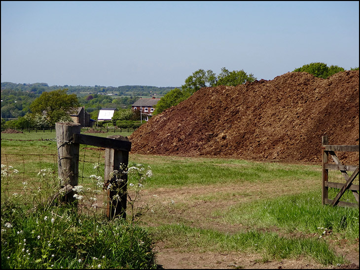 Muck Mountain