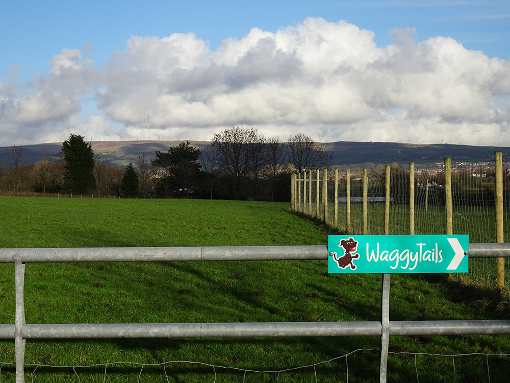 Old Fold Lane, Aspull