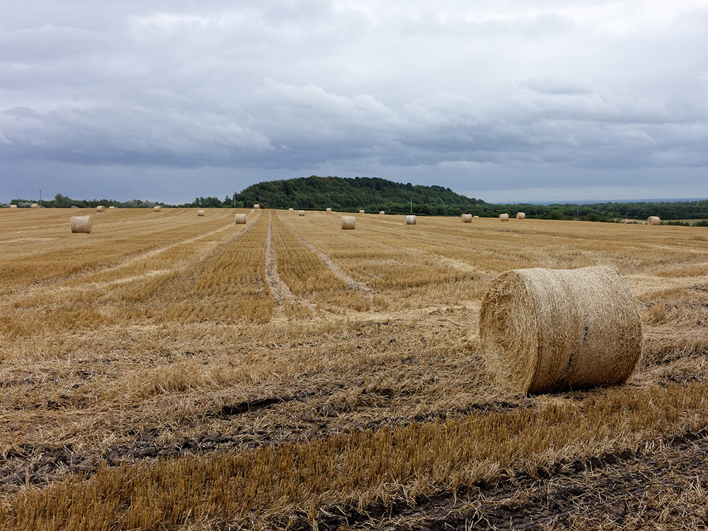 Aspull Field