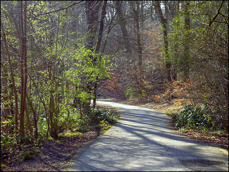 Signs of Spring