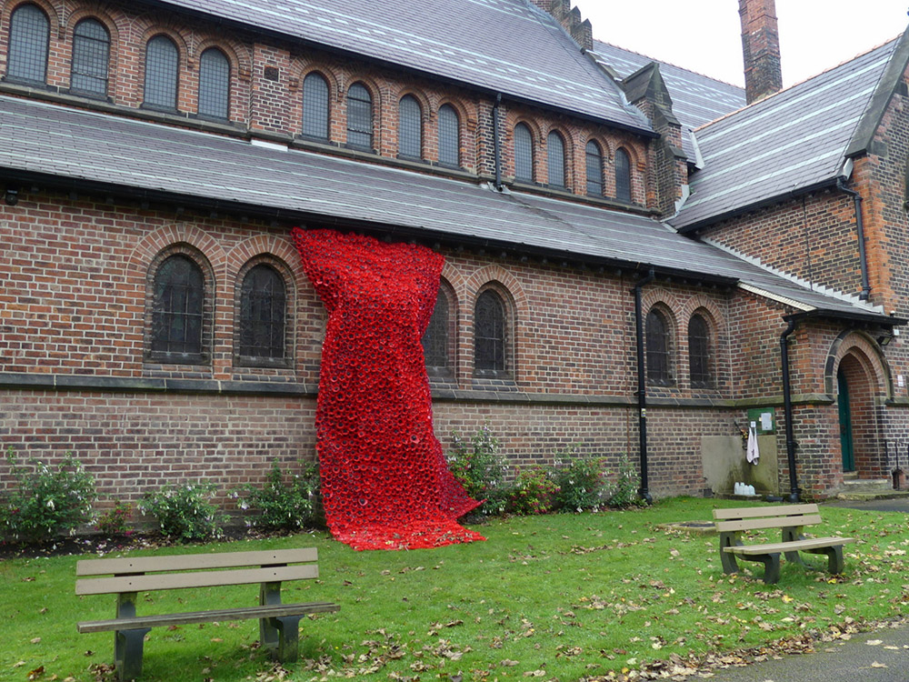 Poppies