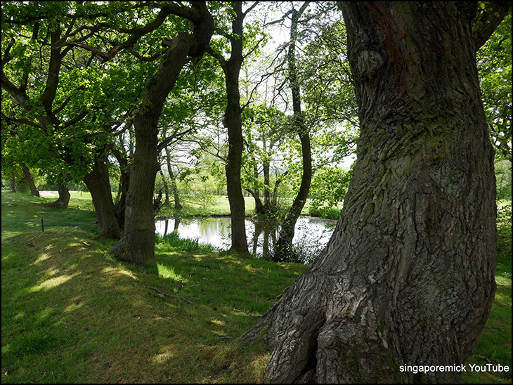 A pond in Shevington