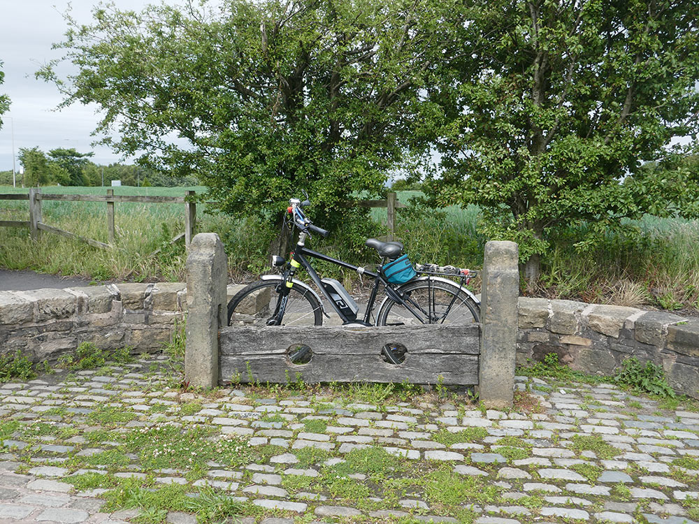 Windy Arbour Stocks