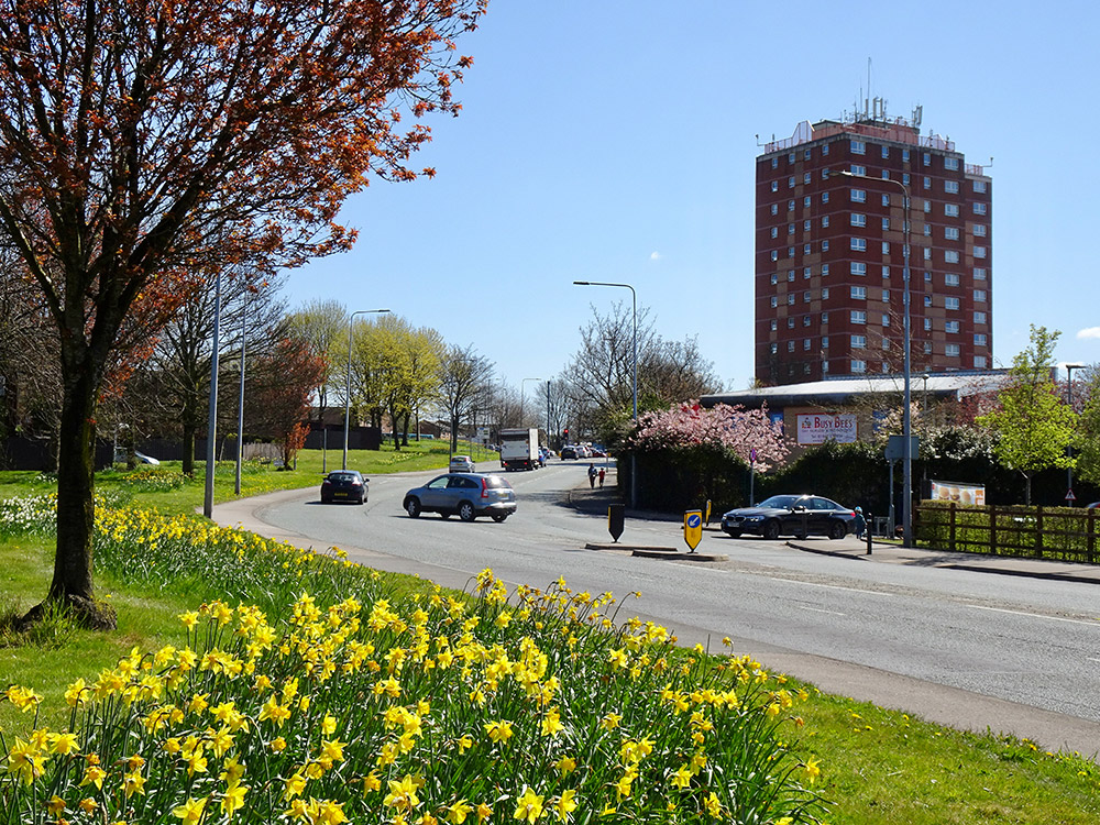 Greenough Street