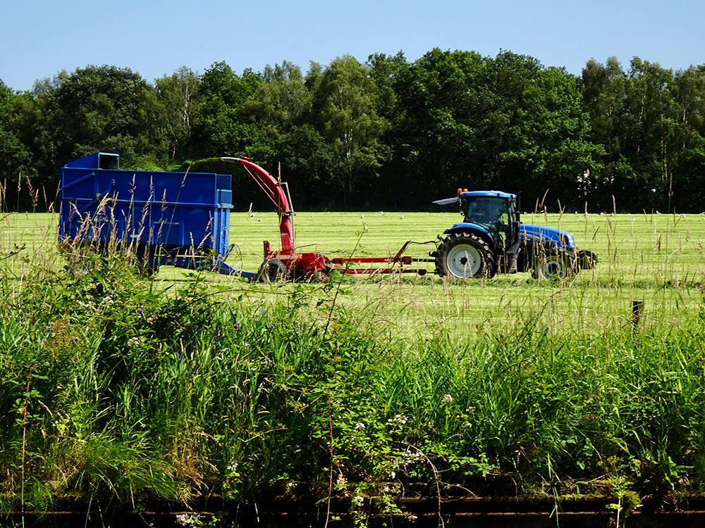 Cutting the Grass