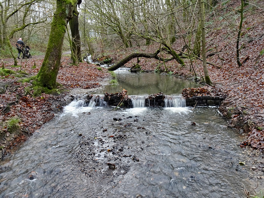 The Stream