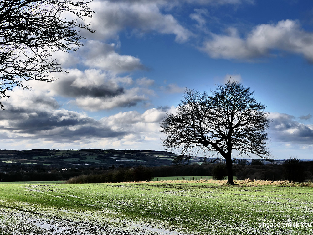 Standish Field