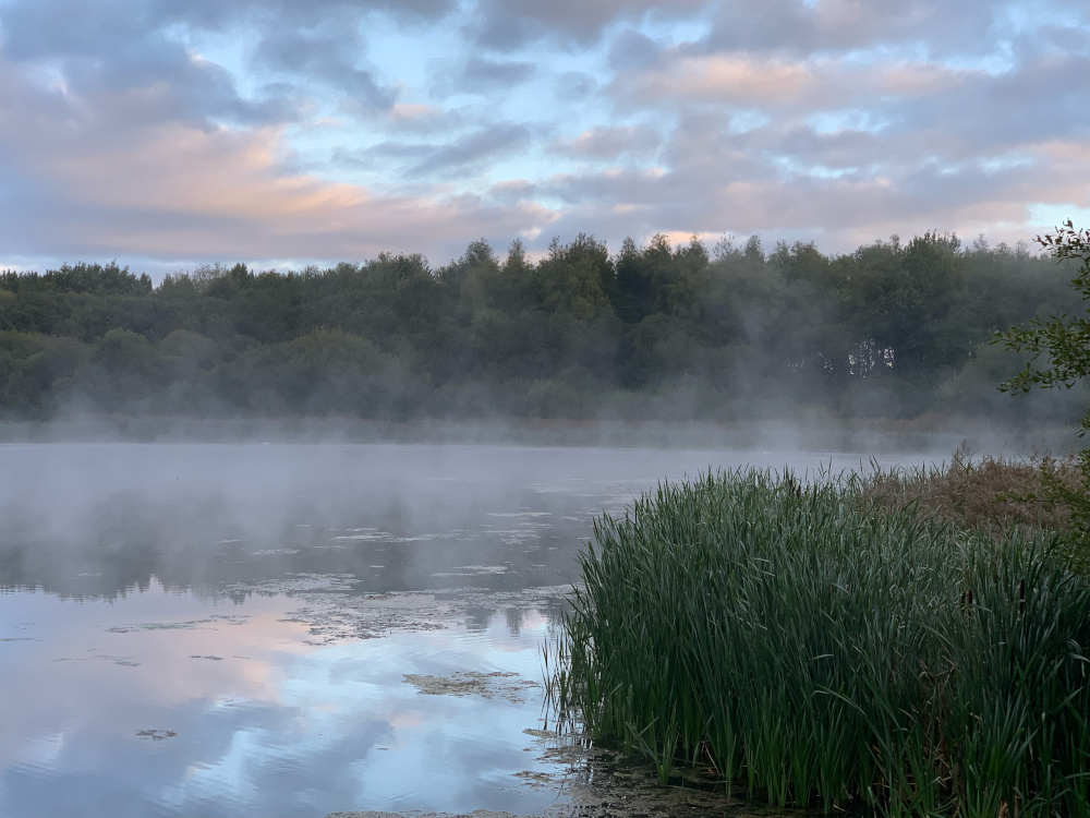 Morning Mist