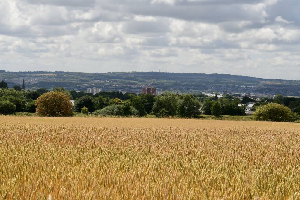 Across the Valley