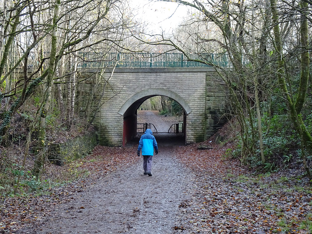 Whelley Loop Line