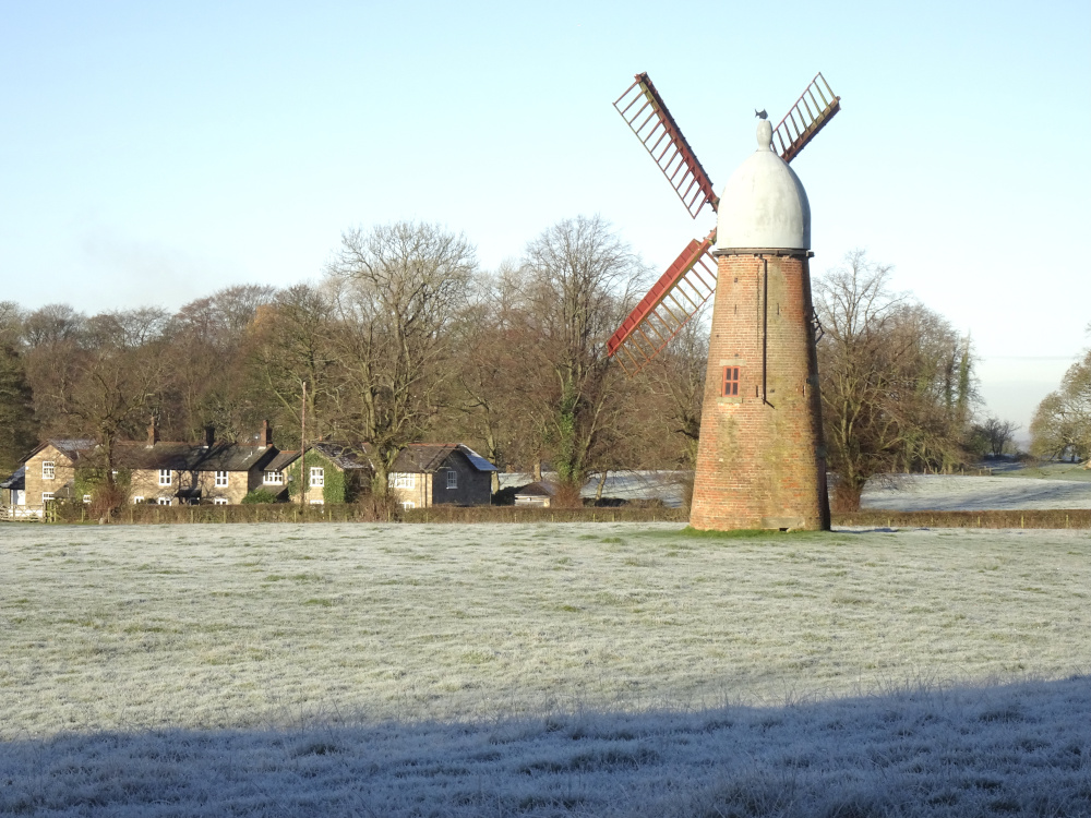 The Windmill