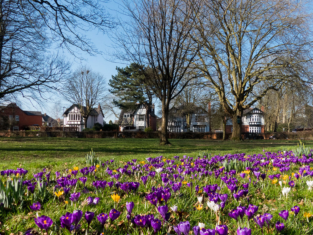 Marylebone Park