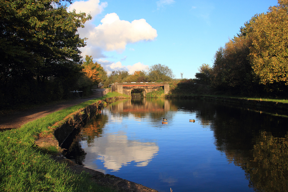 A beautiful day at the canal