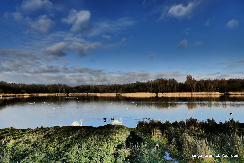 Amberswood Lake