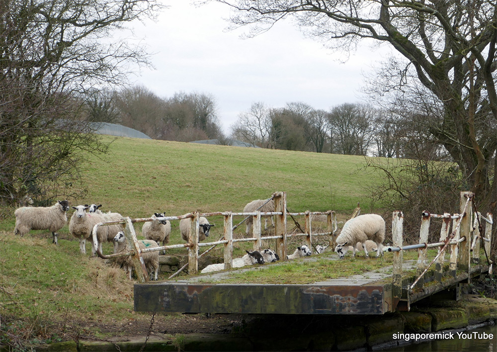 Old Swing Bridge