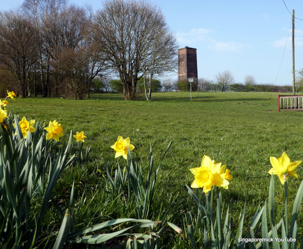 Daffs in Aspull