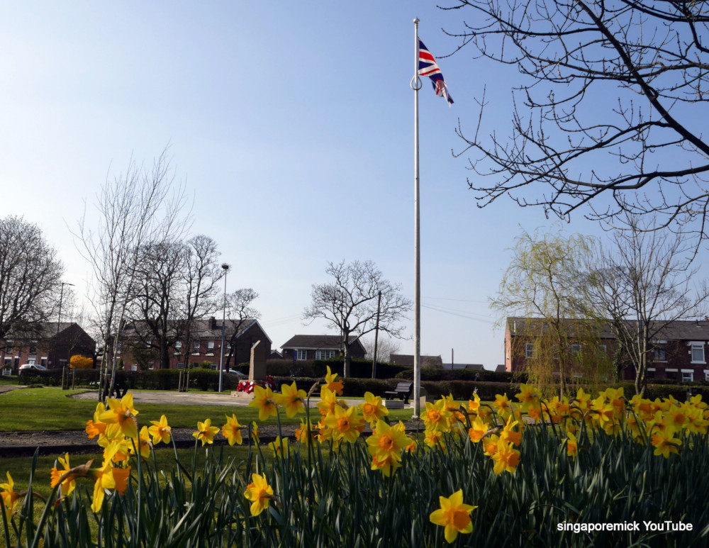 Daffs in Shevington