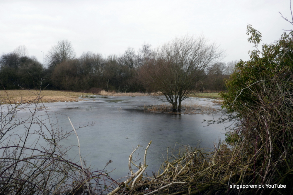 Frozen Pond