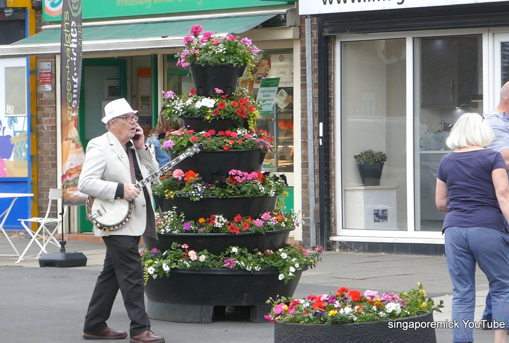 Wandering Musician