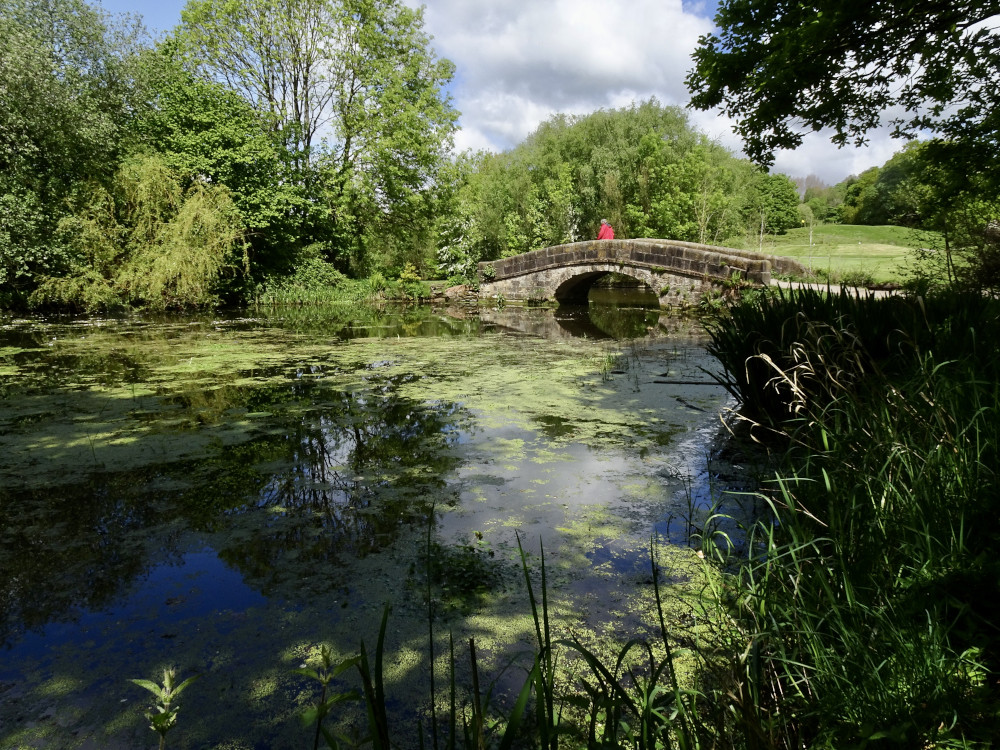 That Bridge