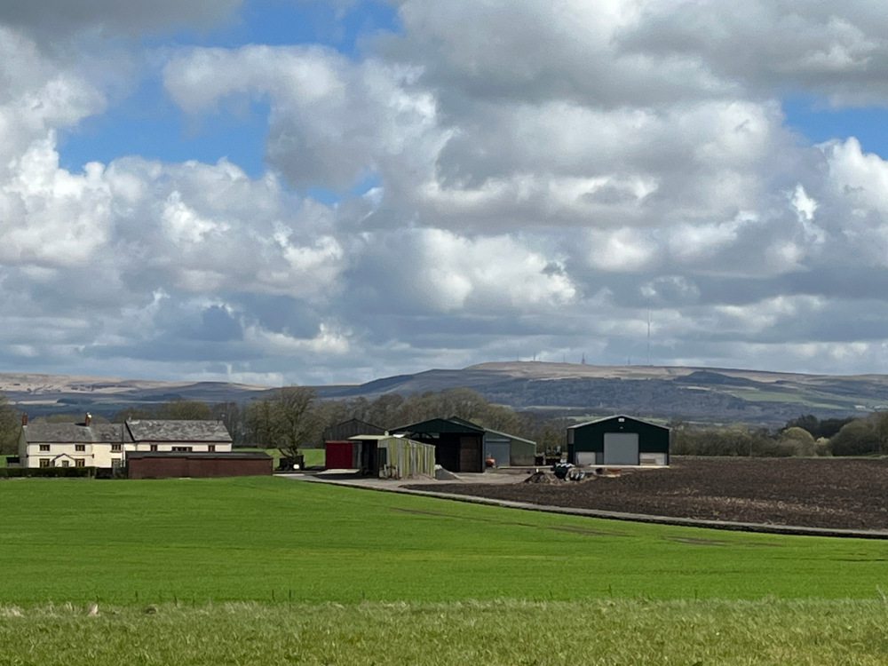 Land and Sky Scape for Langtree