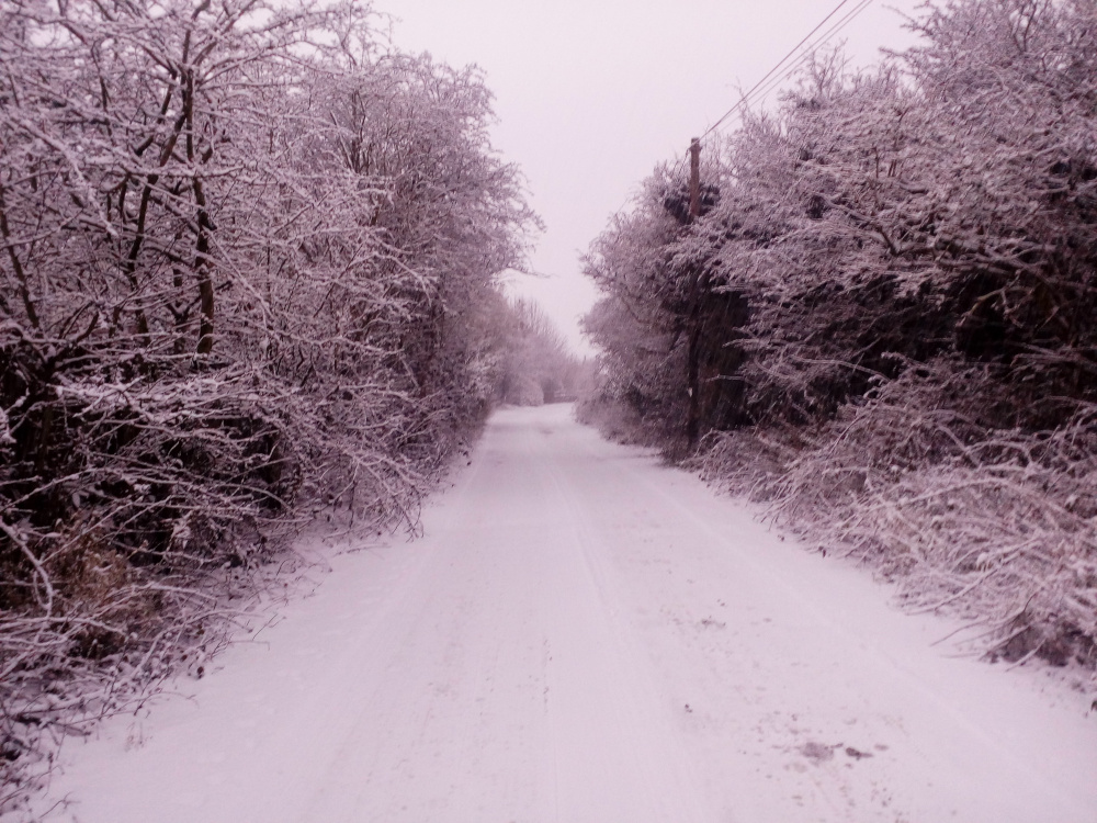 Langtree Lane in Snow