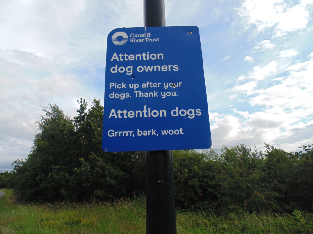 Amusing Sign