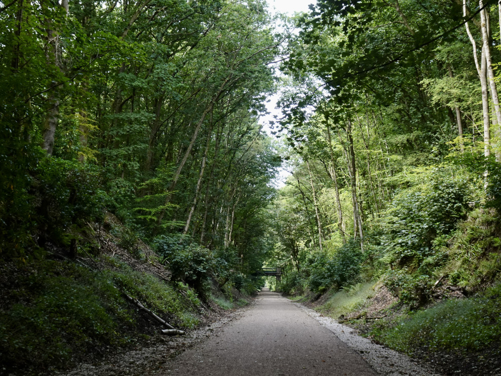 Whelley Loop