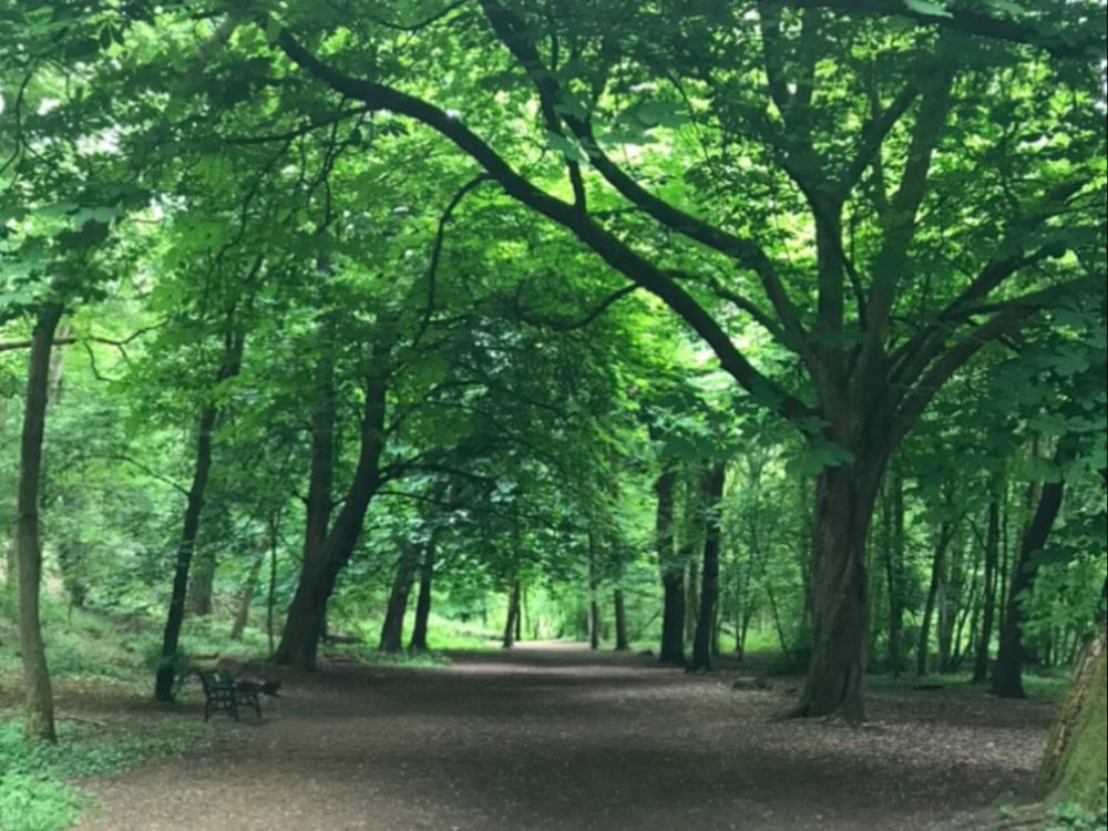Borsdane Wood