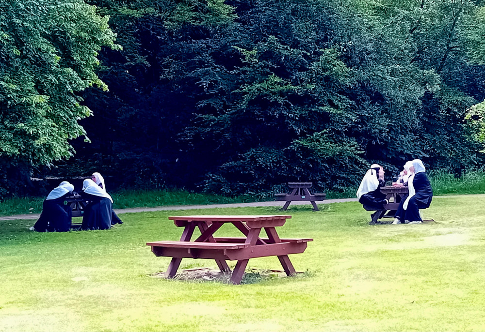 Picnic