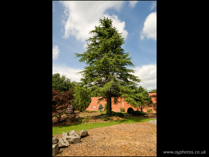 Haigh Walled Garden